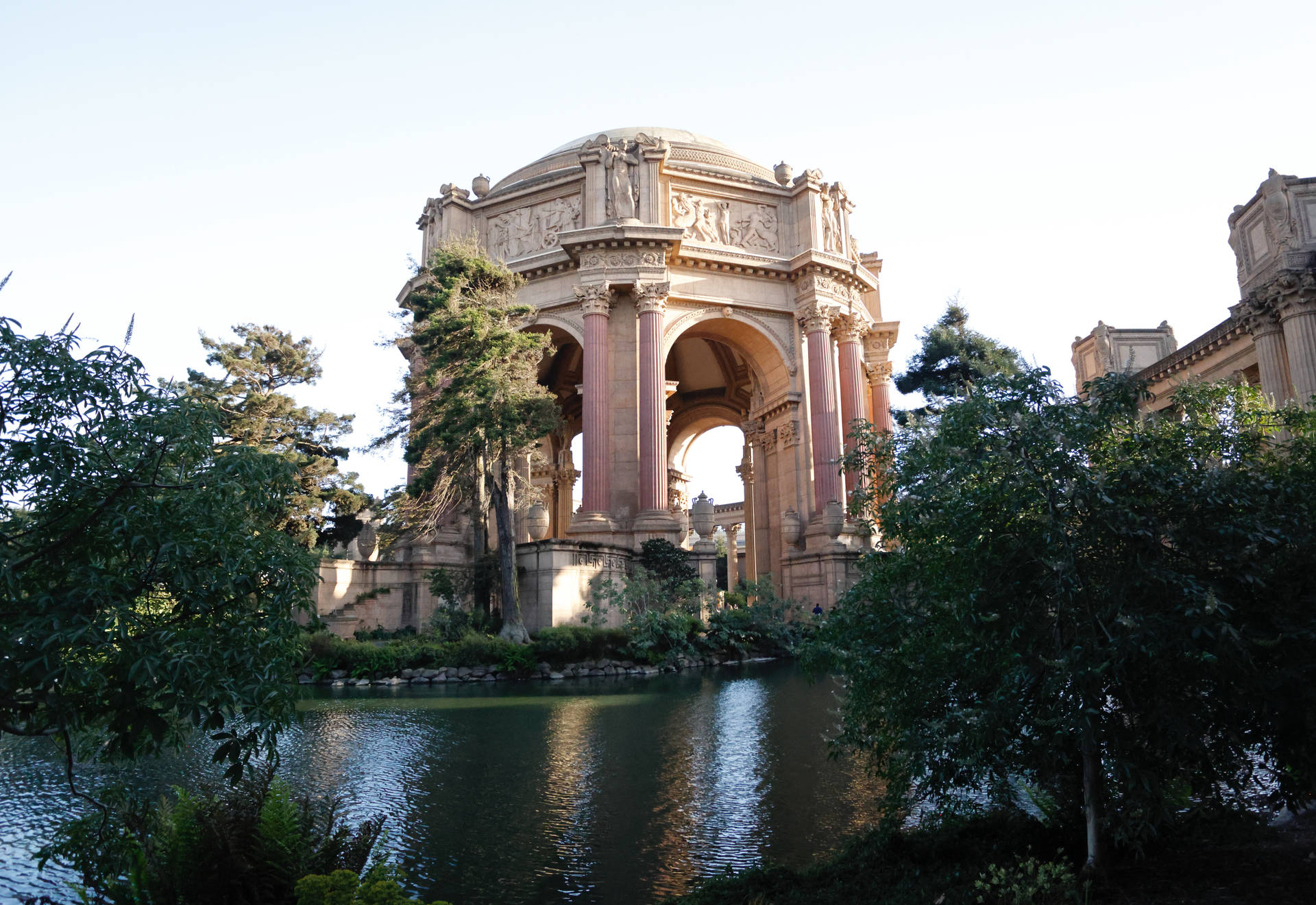 Palace Of Fine Arts Leaves