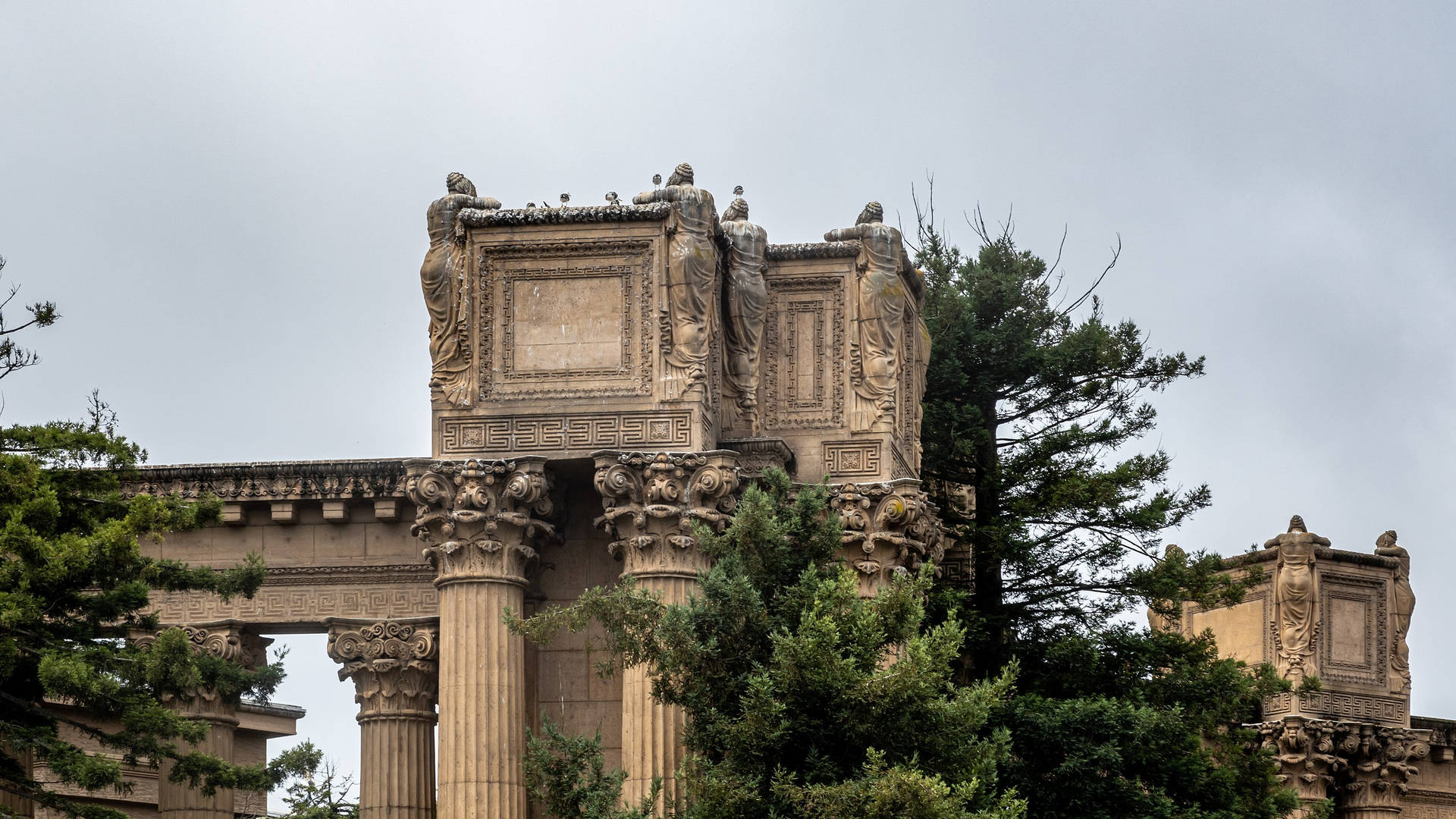 Palace Of Fine Arts Plant Background