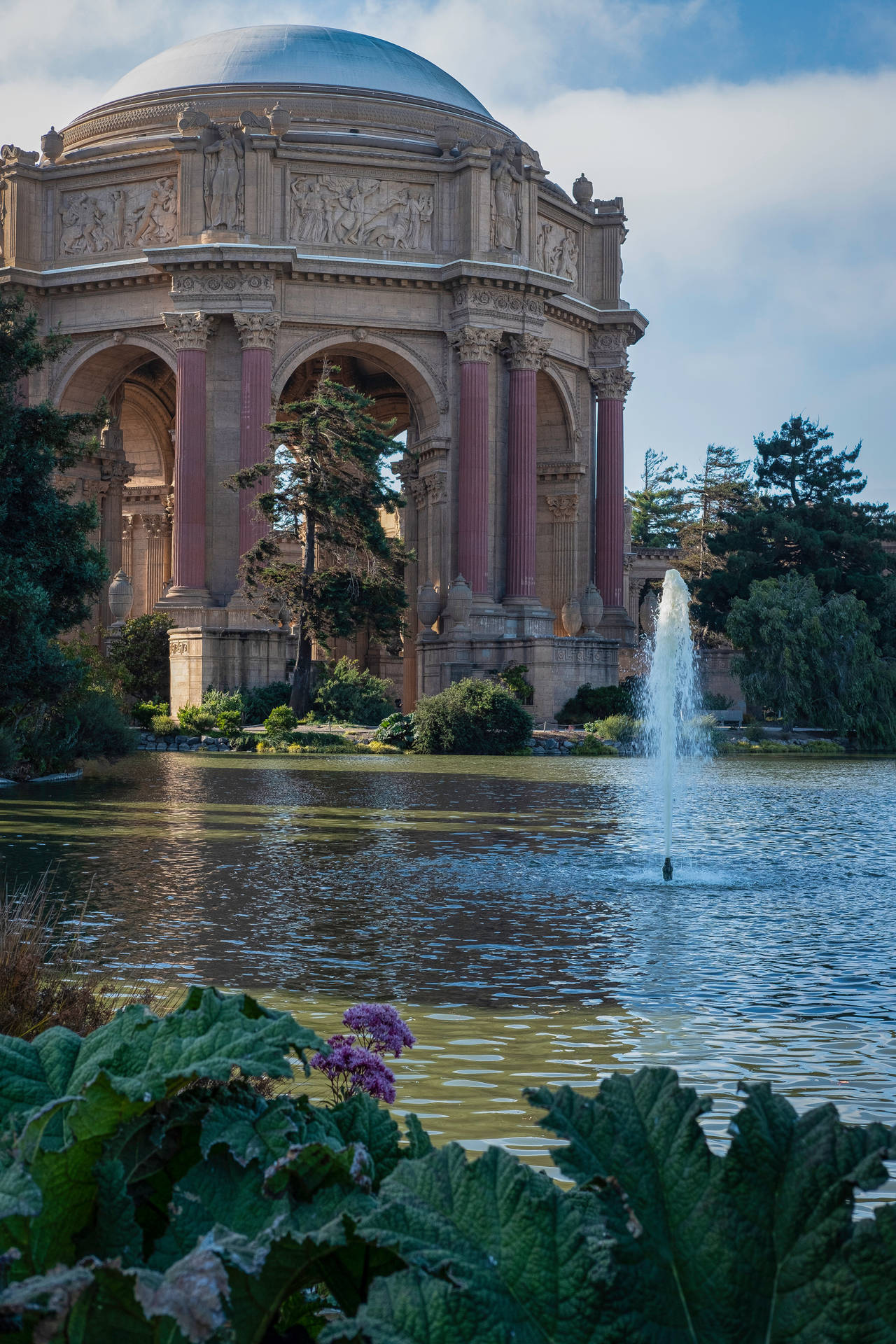 Palace Of Fine Arts Plants In Lagoon Background