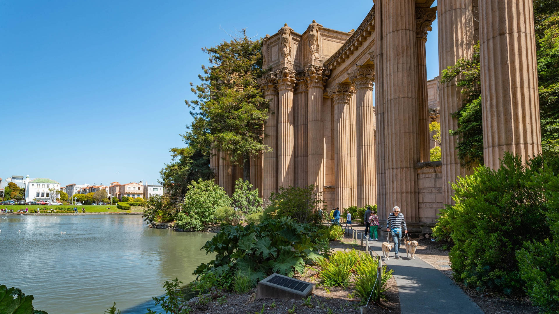 Palace Of Fine Arts Plants On Pillars Background