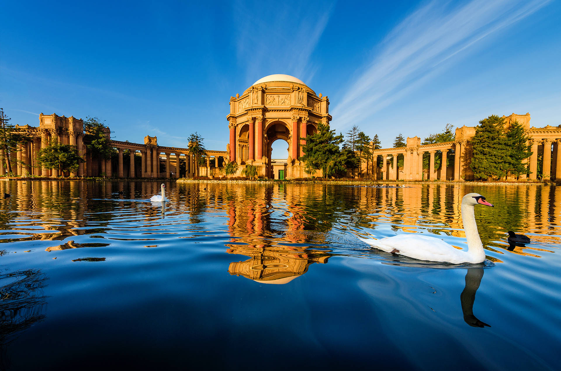 Palace Of Fine Arts San Francisco Photography