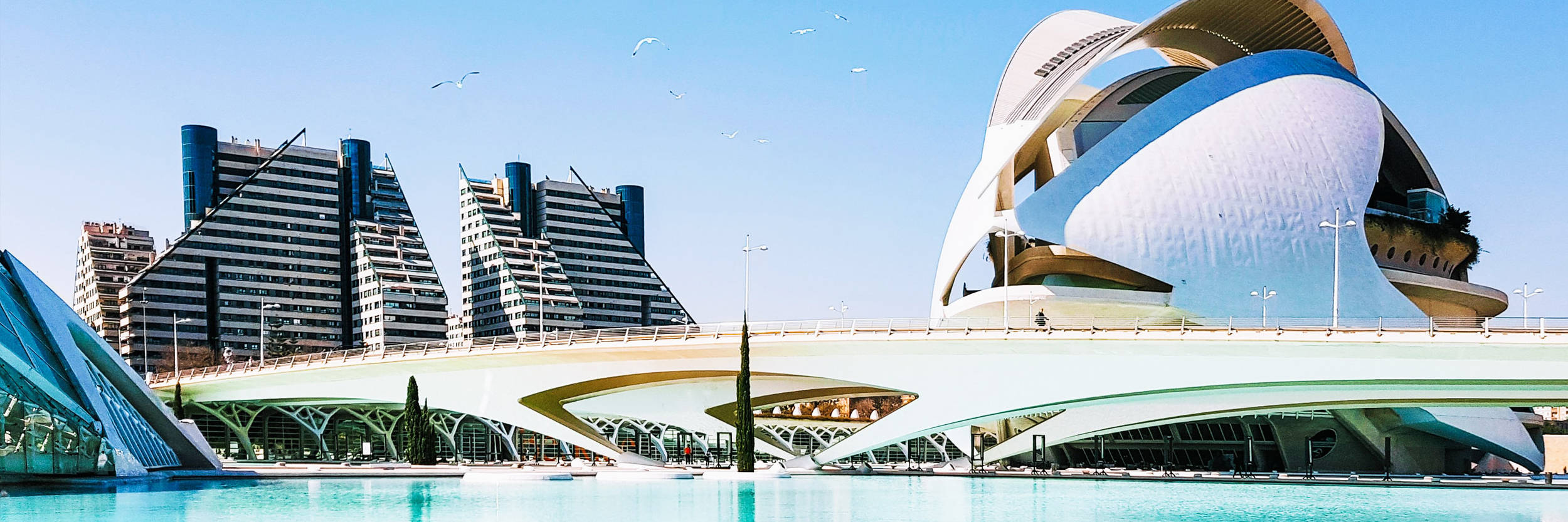 Palau De Les Arts Valencia