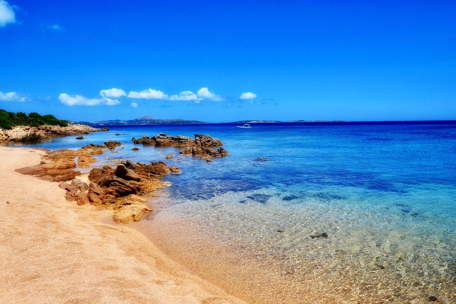 Palau Deep Blue Horizon Background