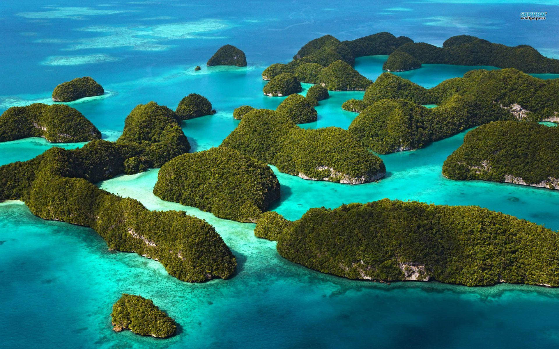 Palau Forested Islands Background