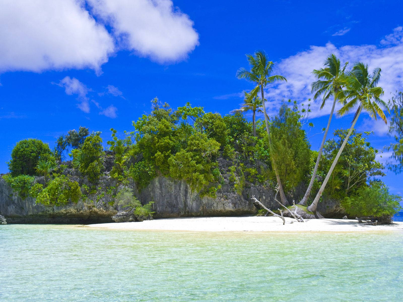 Palau Island With Giant Limestone Background
