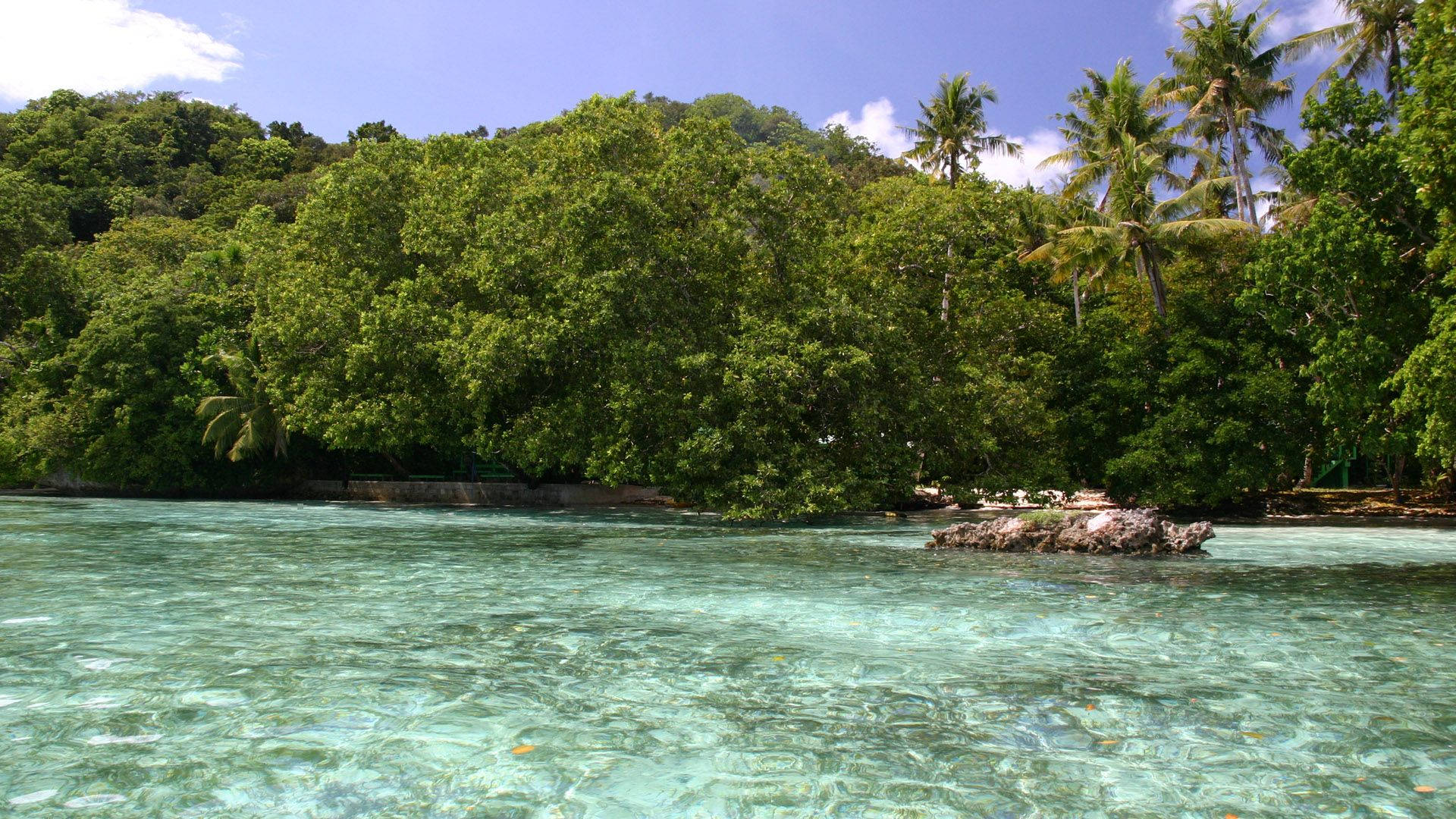 Palau Jungled Hills Background