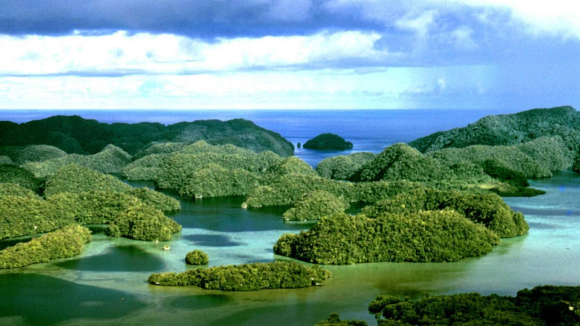 Palau Jungled Rock Islands Background