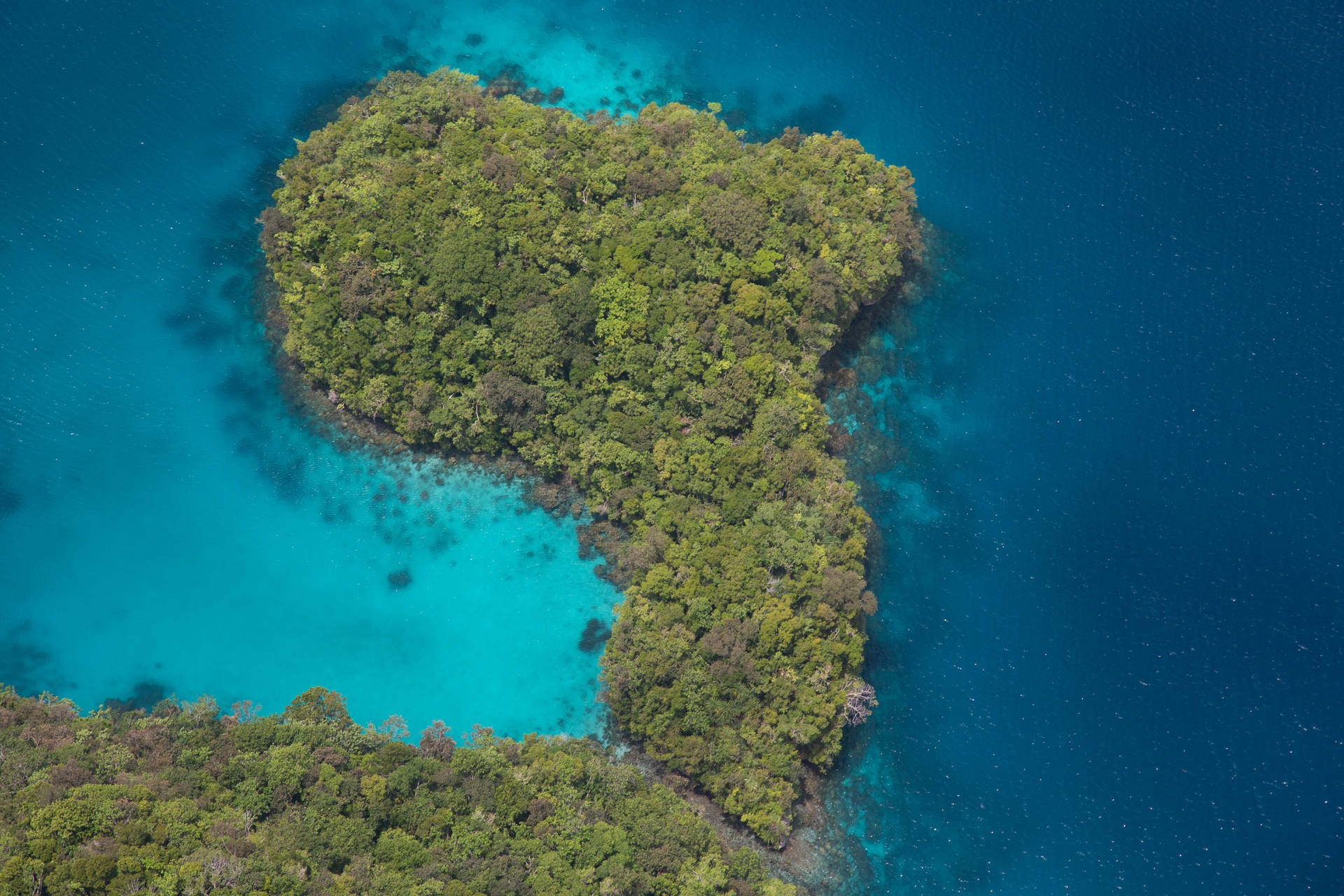 Palau Luscious Green Island Background
