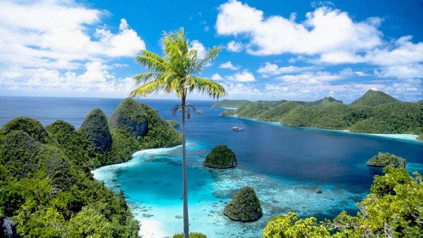Palau Palm Tree On Rock Islands Background
