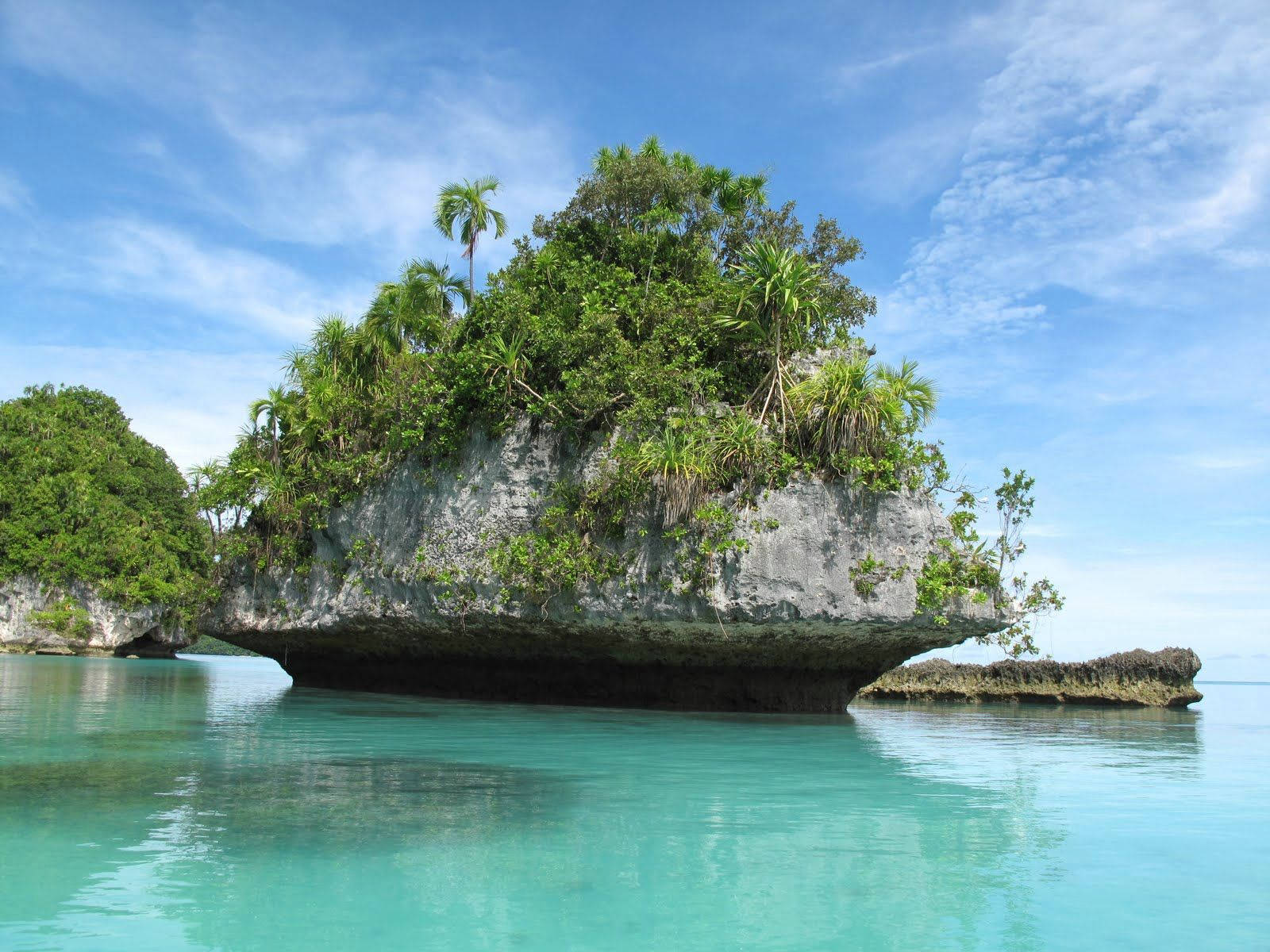 Palau Rock Narrow Bottom Background