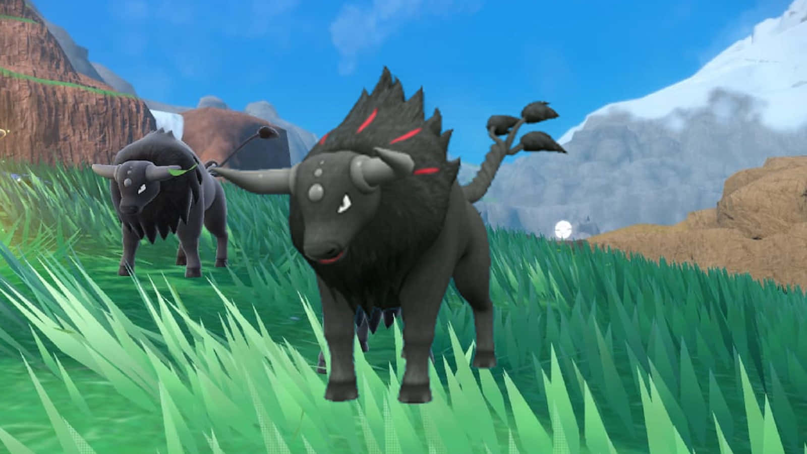 Paldean Tauros In Grassy Field Background