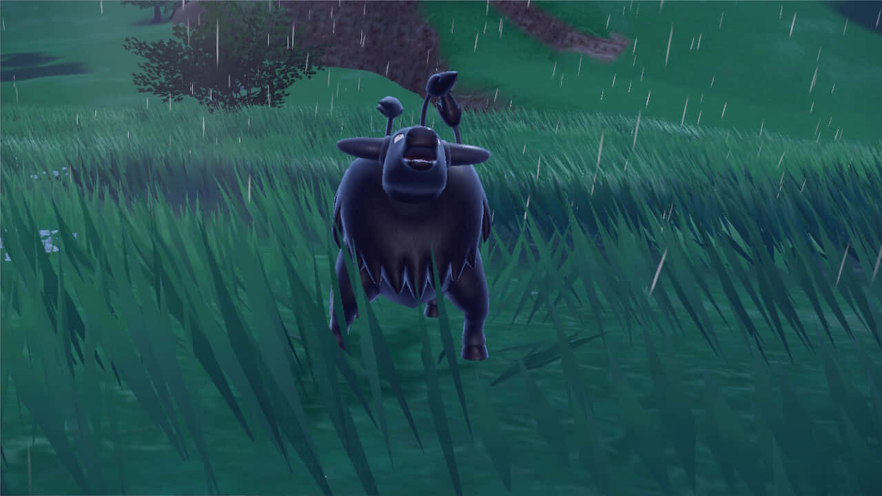 Paldean Tauros In The Rain Background