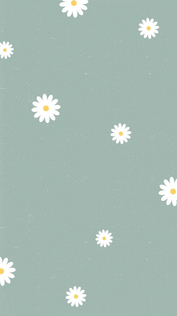 Pale Green White Daisy Aesthetic