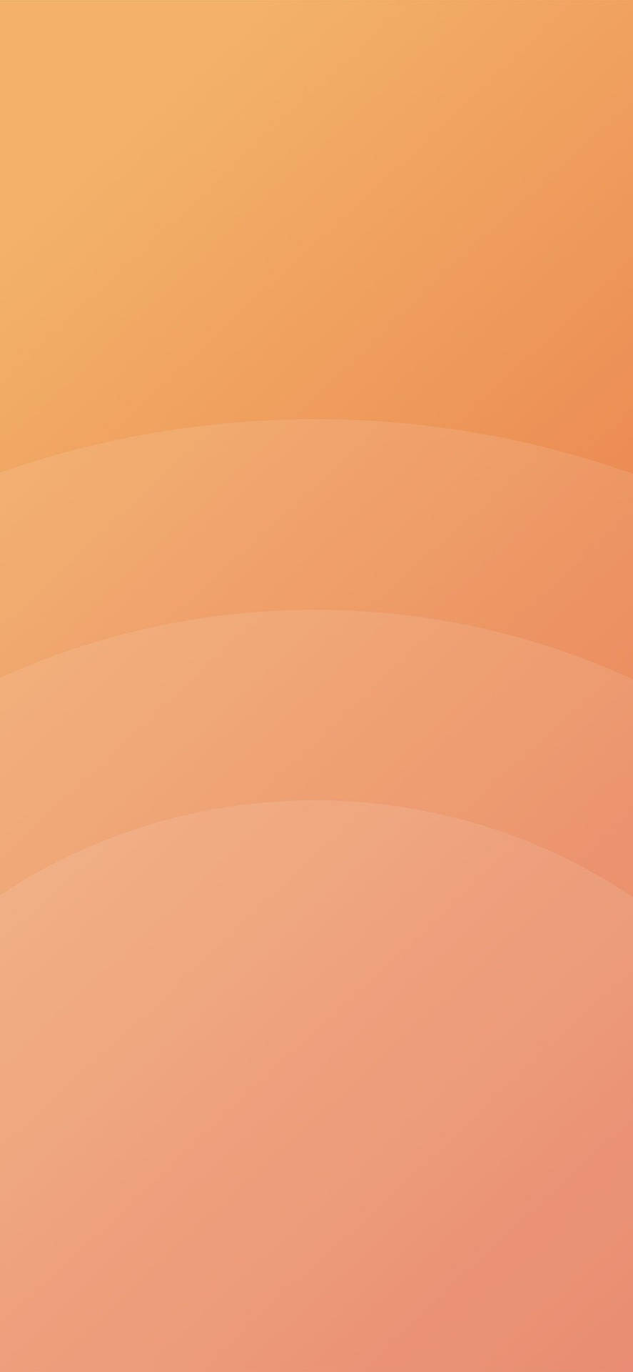 Pale Orange Circle Curves Background