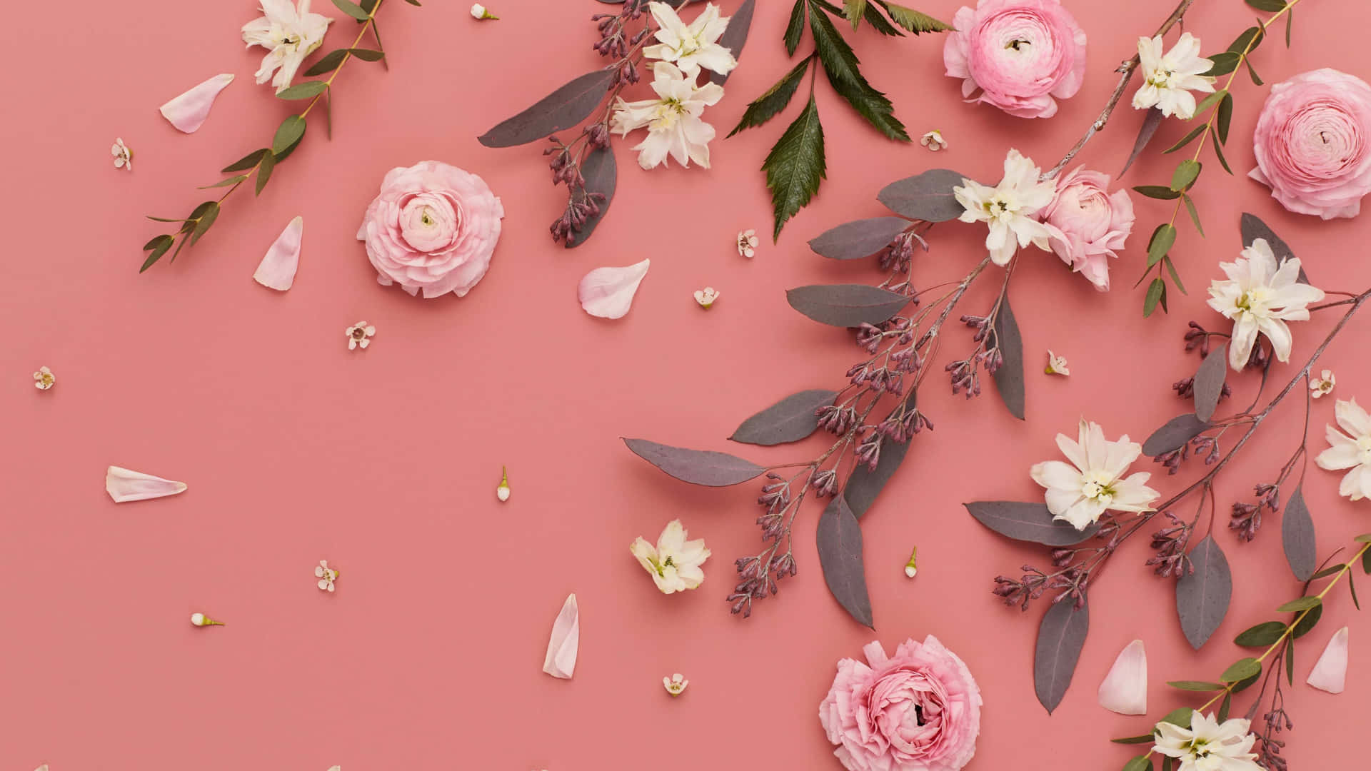 Pale Pink Floral Arrangement Backdrop Background