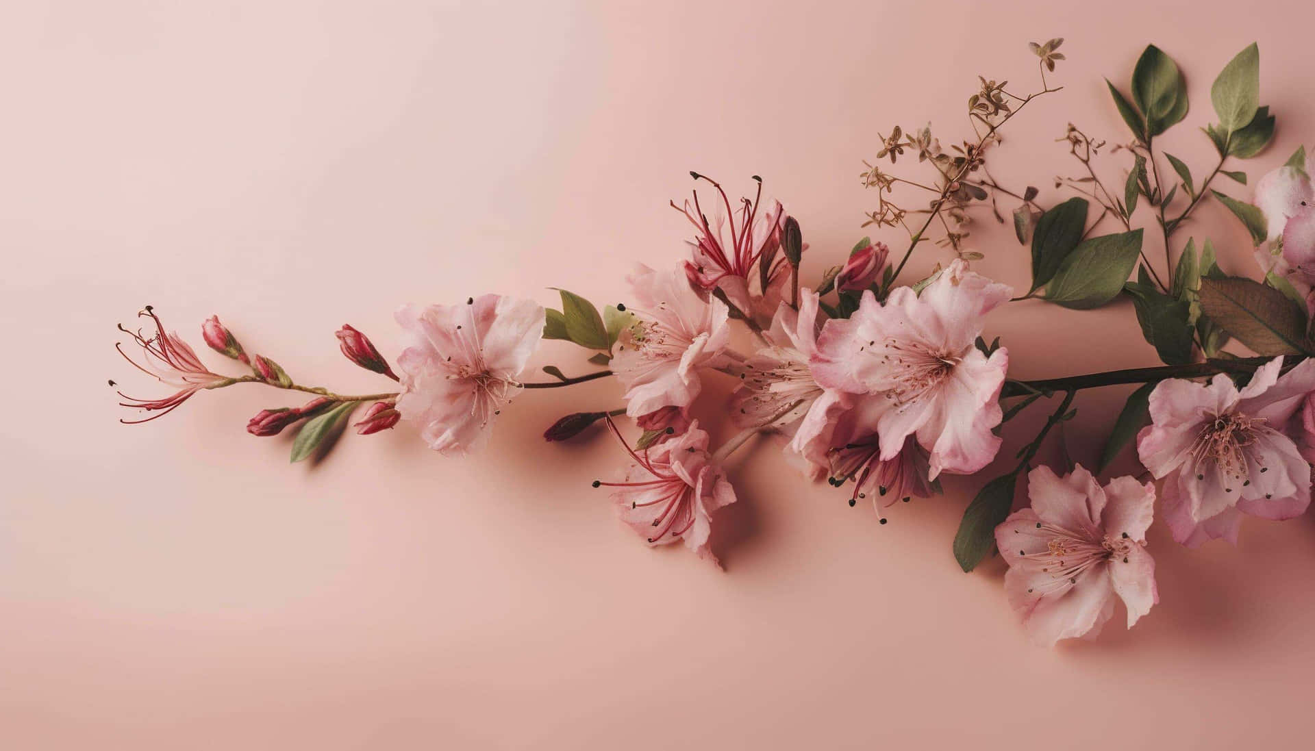 Pale Pink Floral Arrangement Background