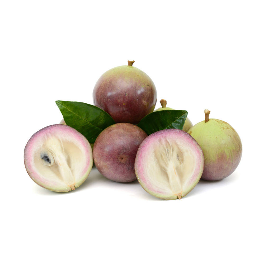 Pale Purple Star Apple