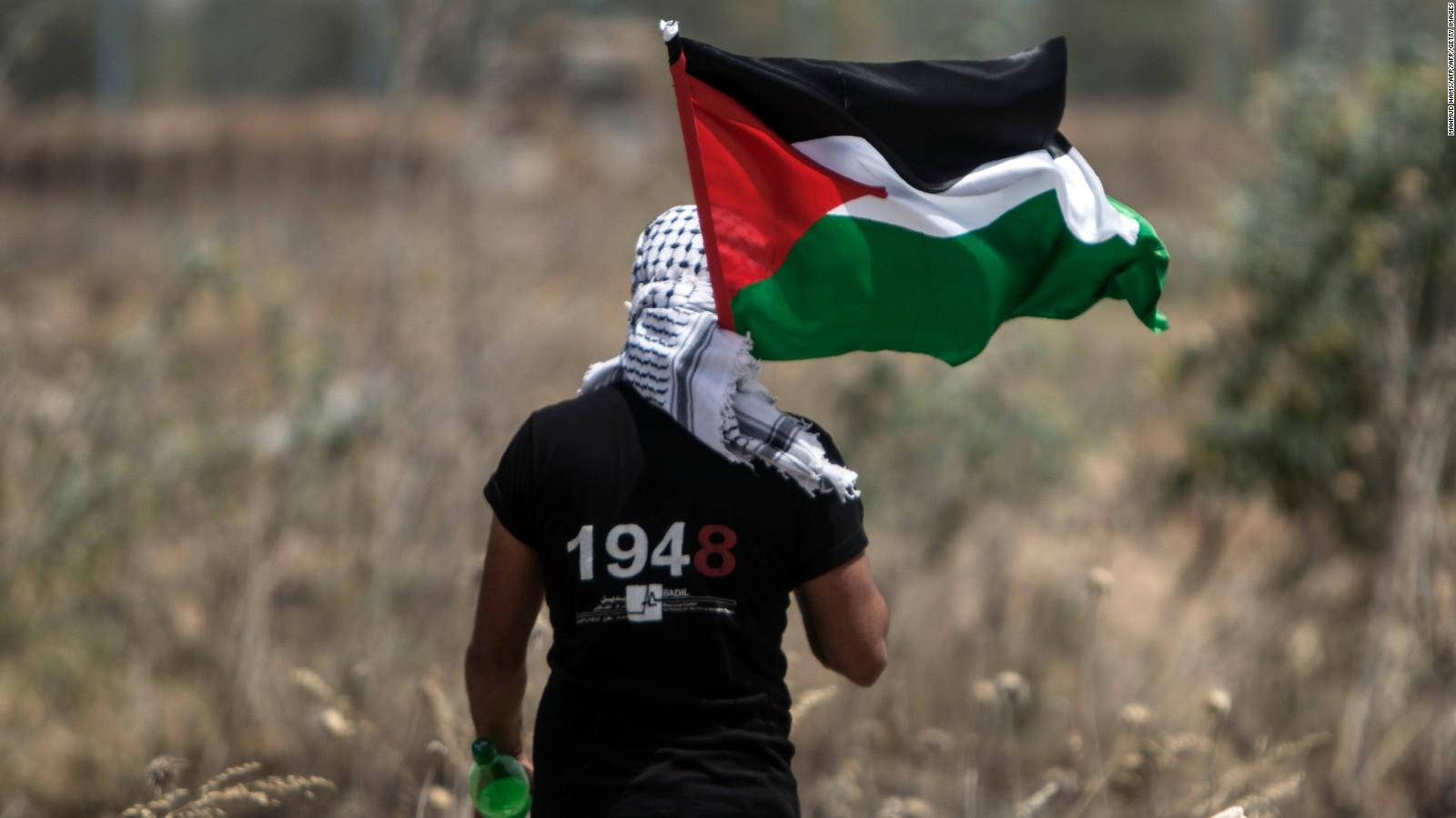 Palestine Flag And 1948 Shirt Background