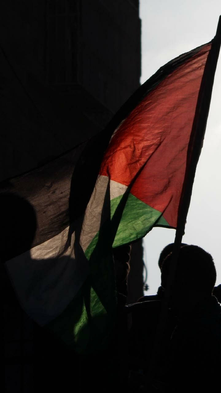 Palestine Flag Silhouette Background