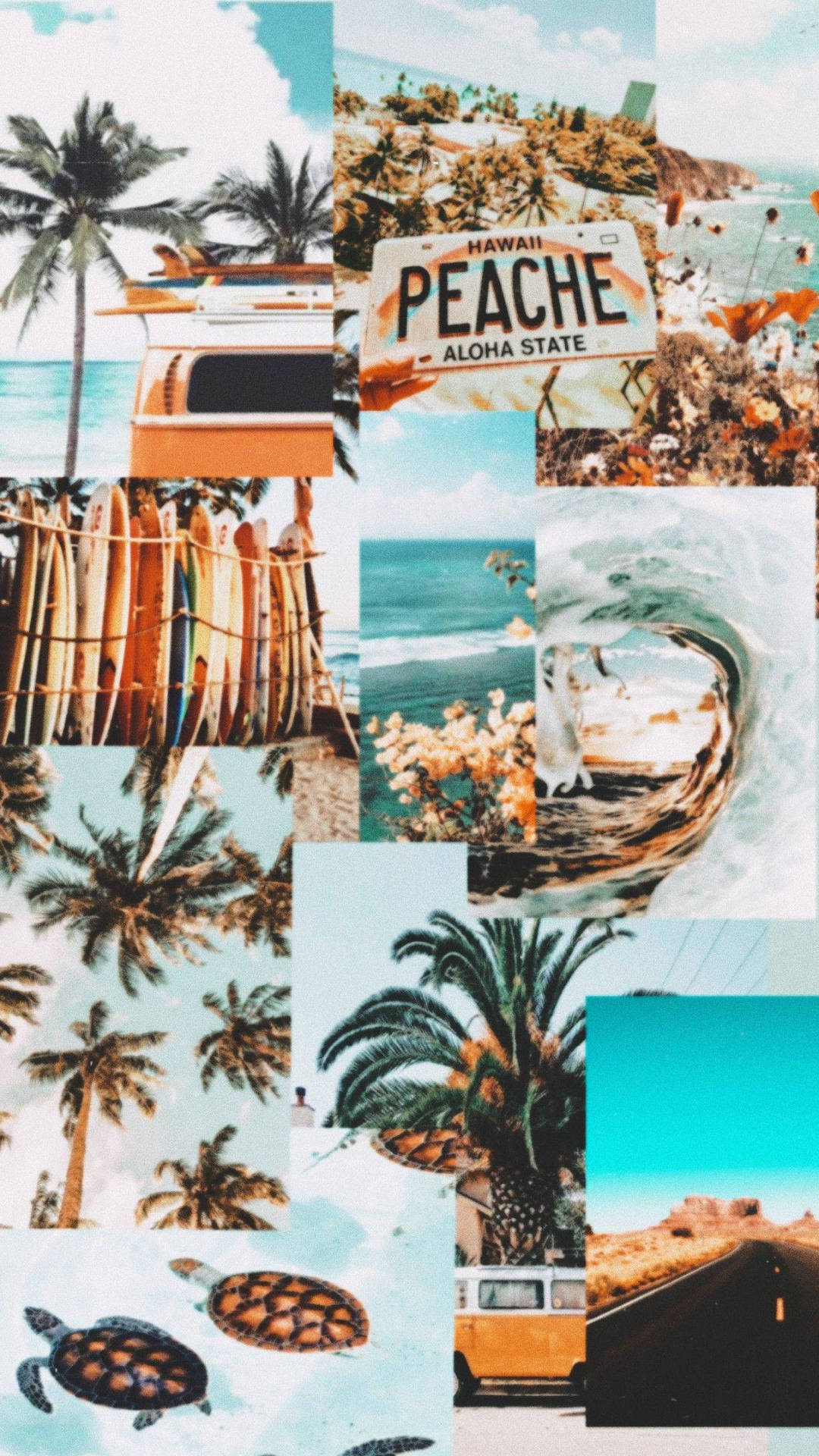 Palm And Ocean Summer Collage Background