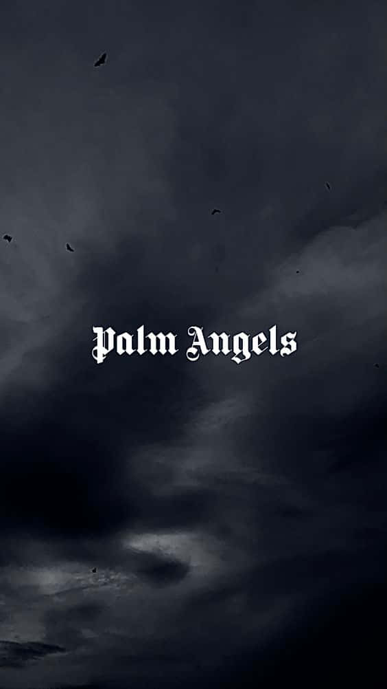 Palm Angels Dark Sky Background