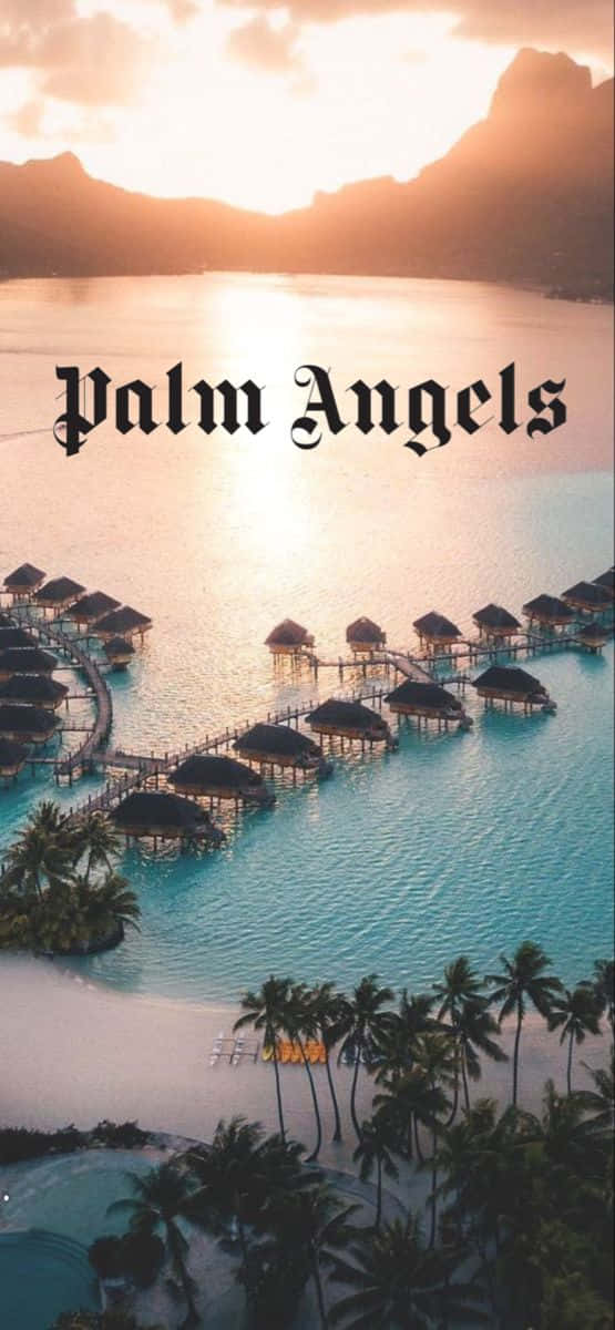 Palm Angels Floating Cottages