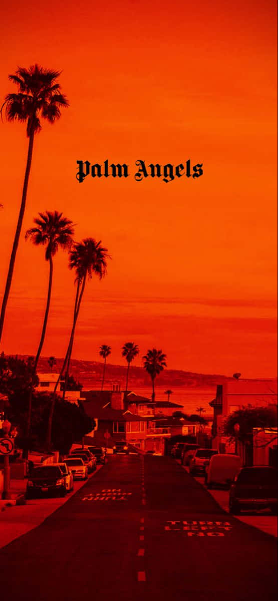 Palm Angels Red Sky Background