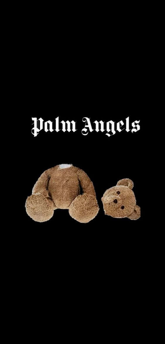 Palm Angels Teddy Bears Background