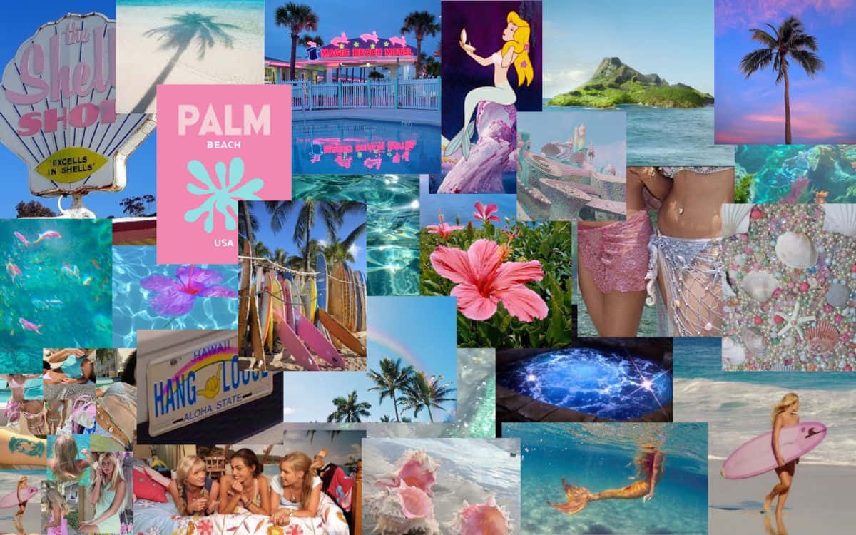 Palm Beach Collage Background