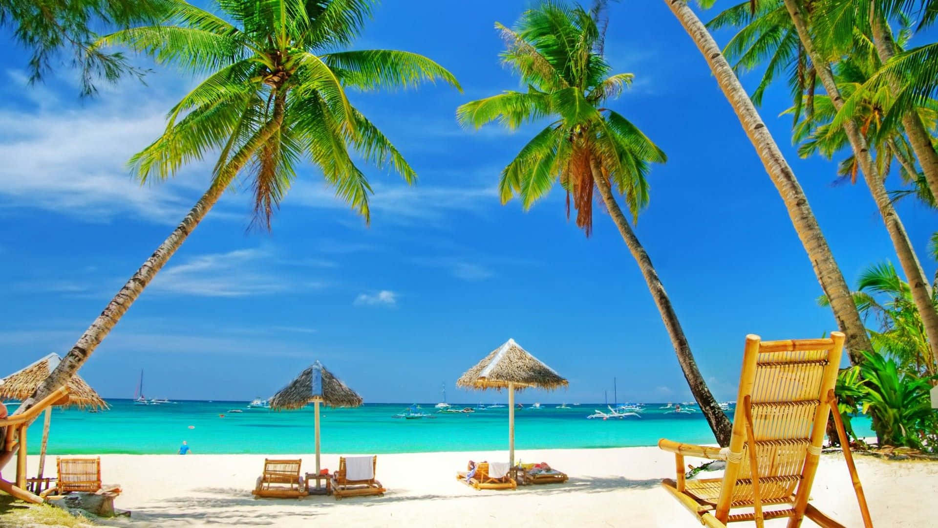 Palm Beach Tropical Paradise Background
