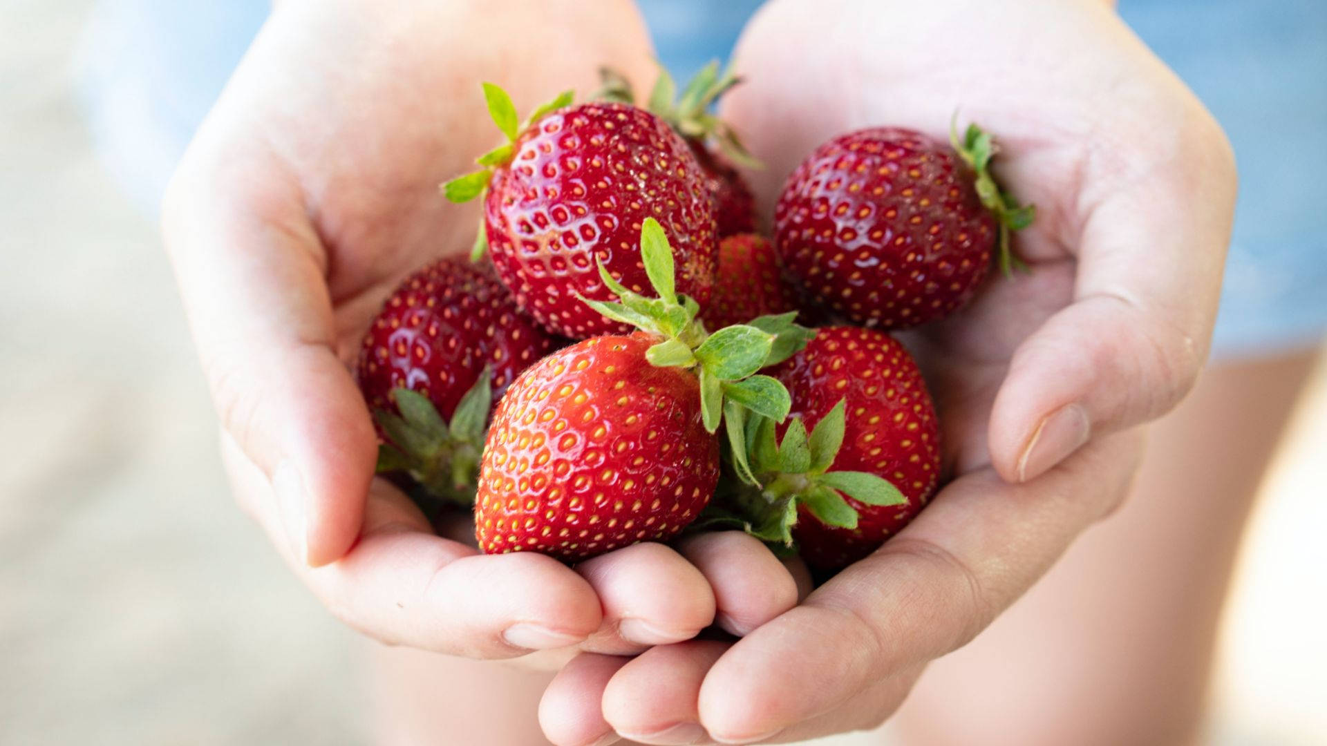 Palm Holding Strawberry Desktop Background