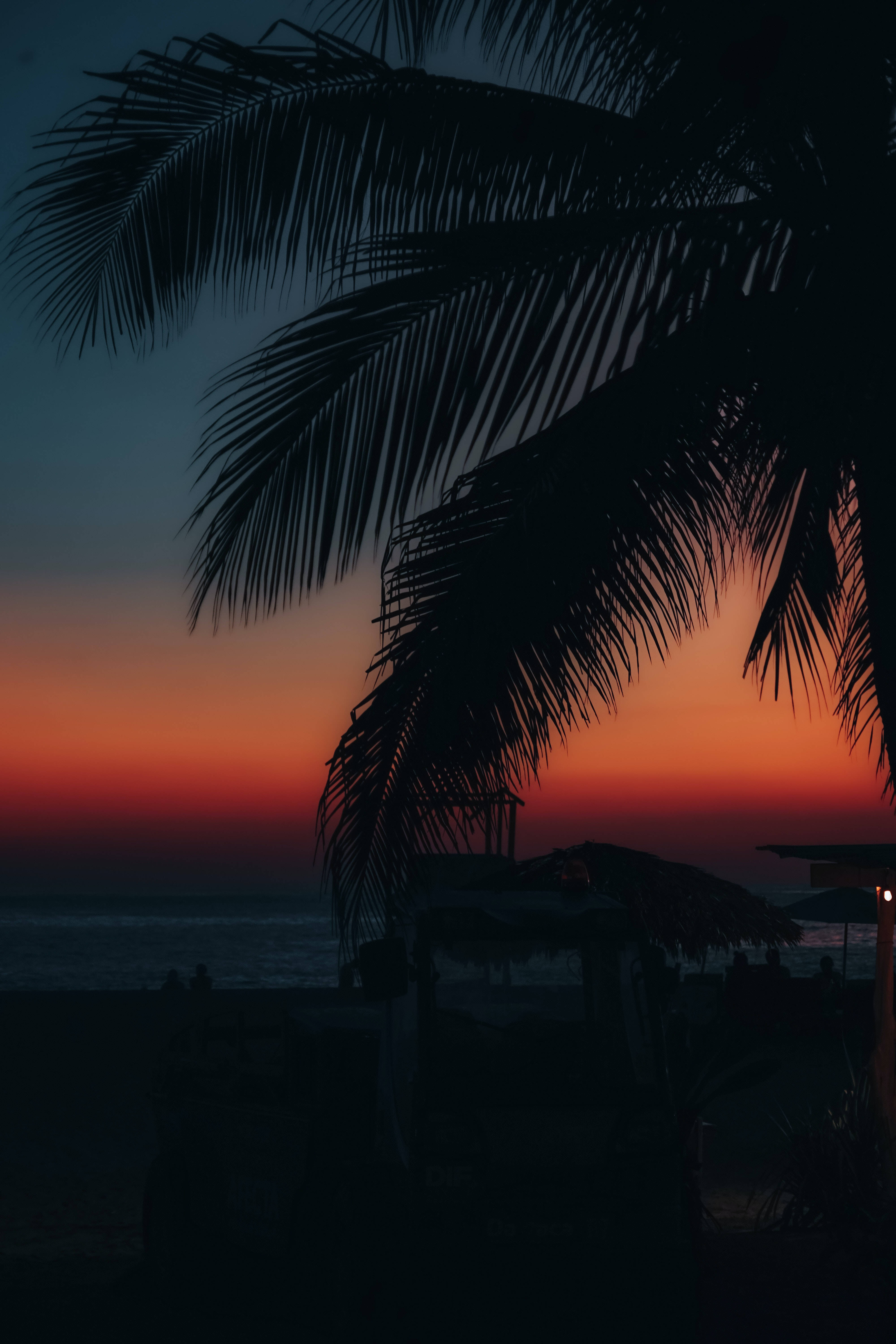 Palm Leaves Dark Sunset Beach Android