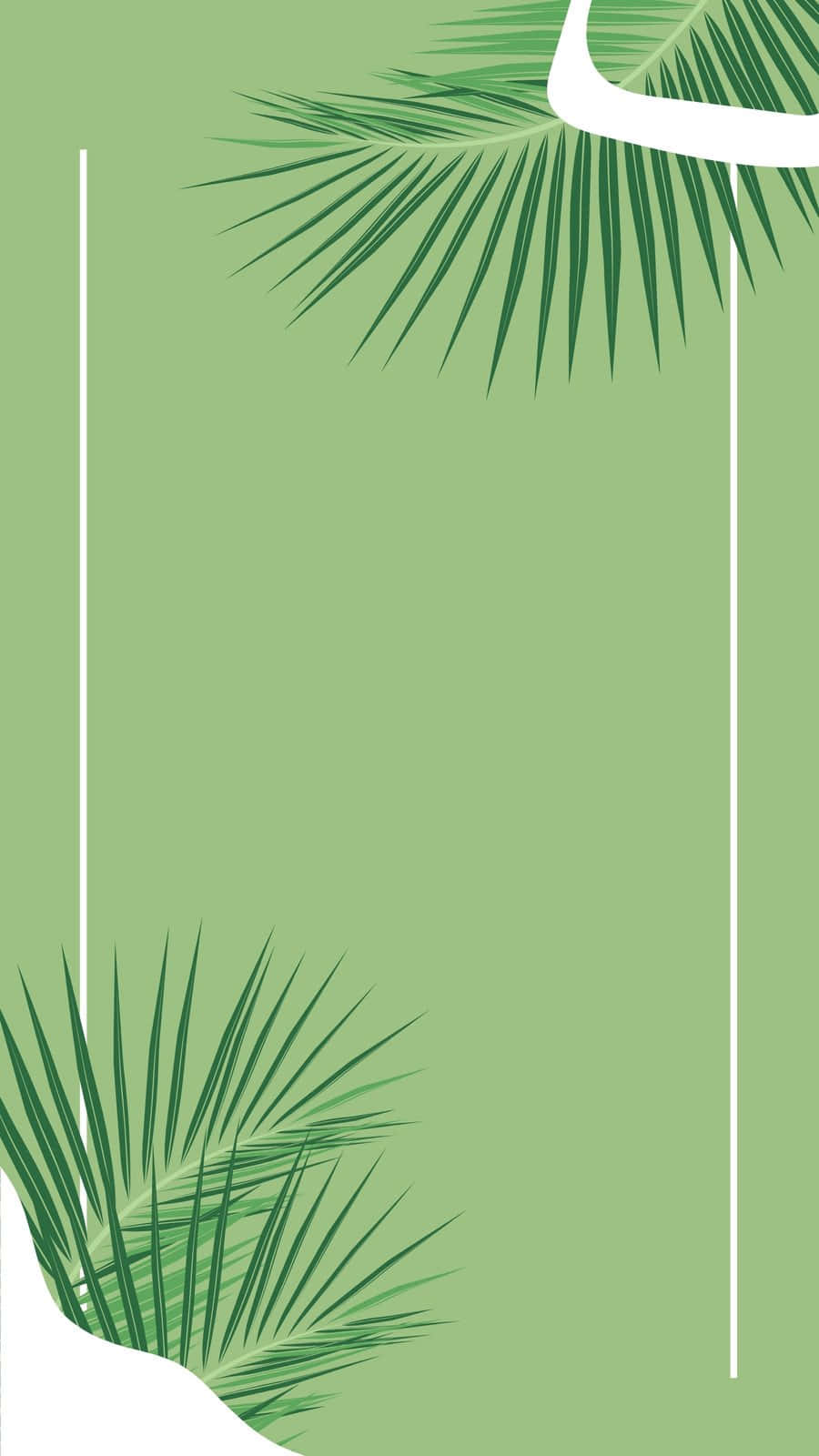 Palm Leaves In Sage Aesthetic Background