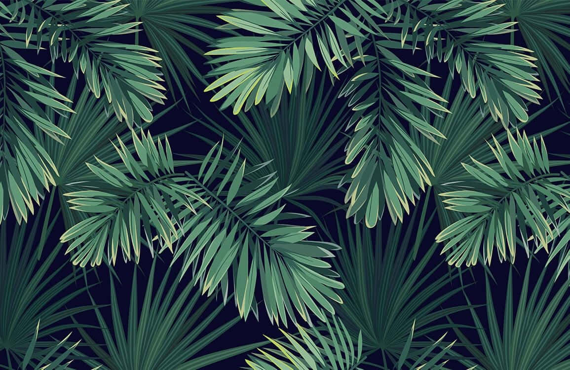 Palm Leaves In Soft Sunlight Background