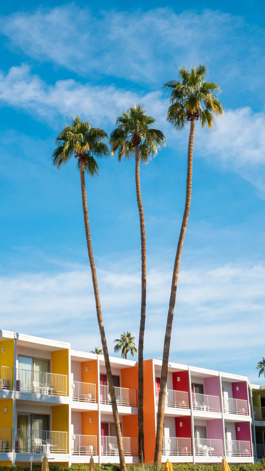 Palm Springs Colorful Hotel Background
