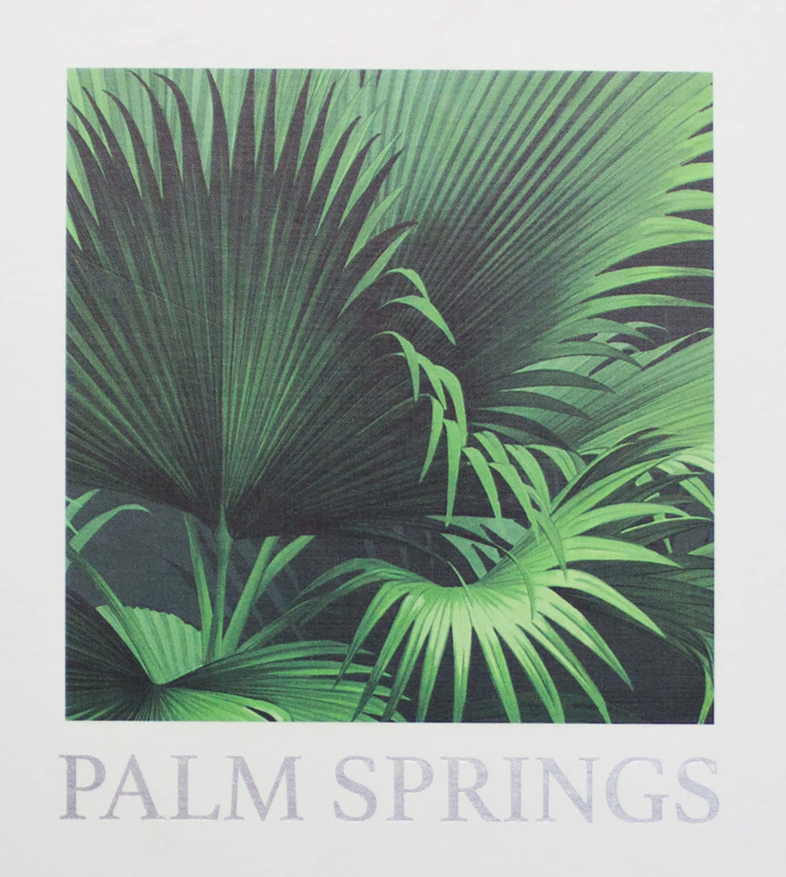 Palm Springs Leaf Art Background