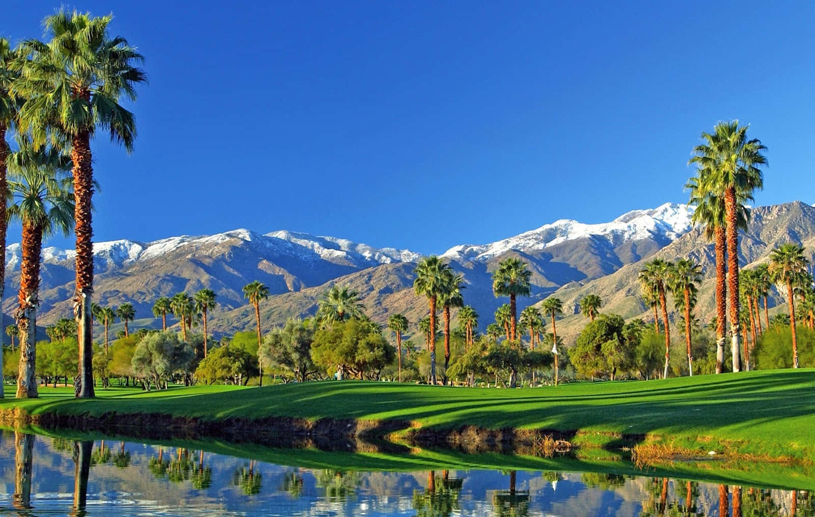 Palm Springs Mesquite Golf Club Background