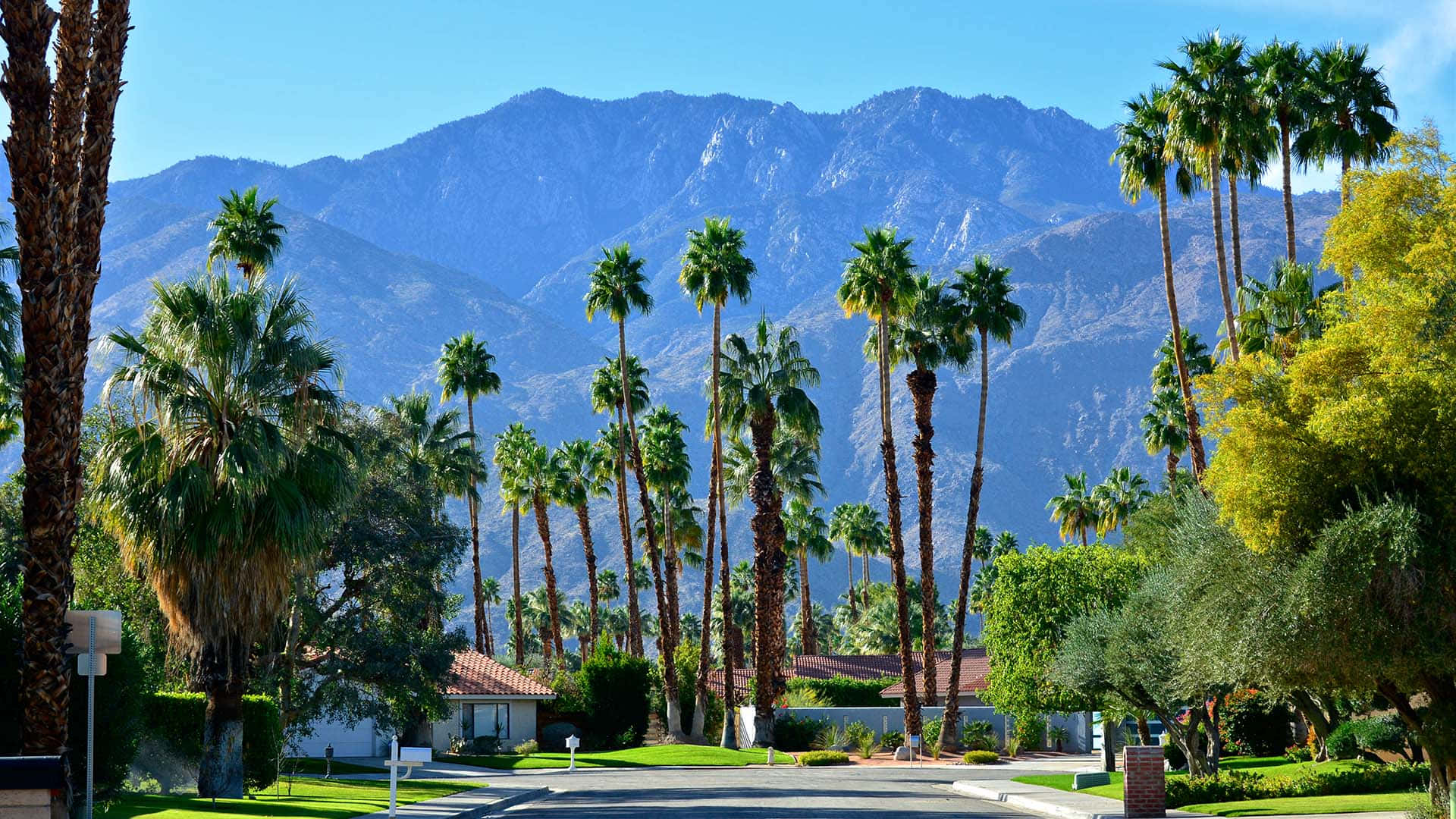 Palm Springs Mountains Background