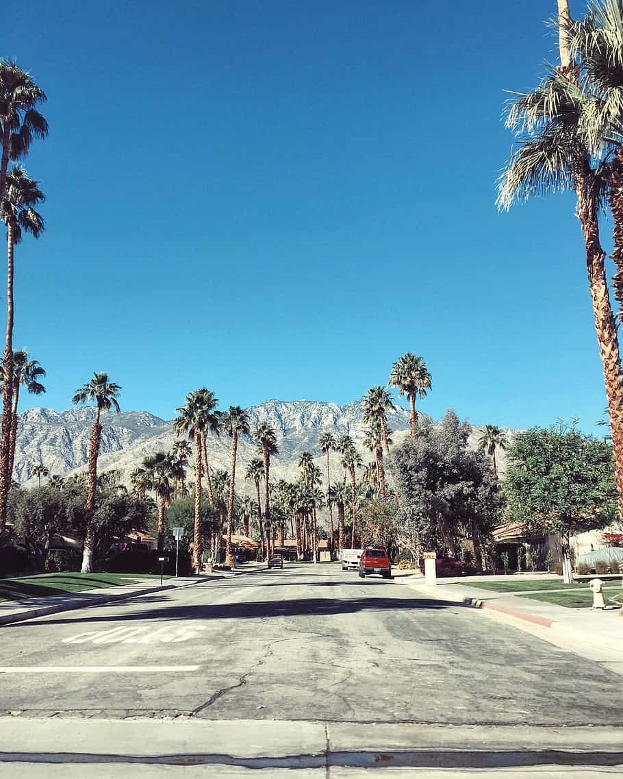 Palm Springs Street Background