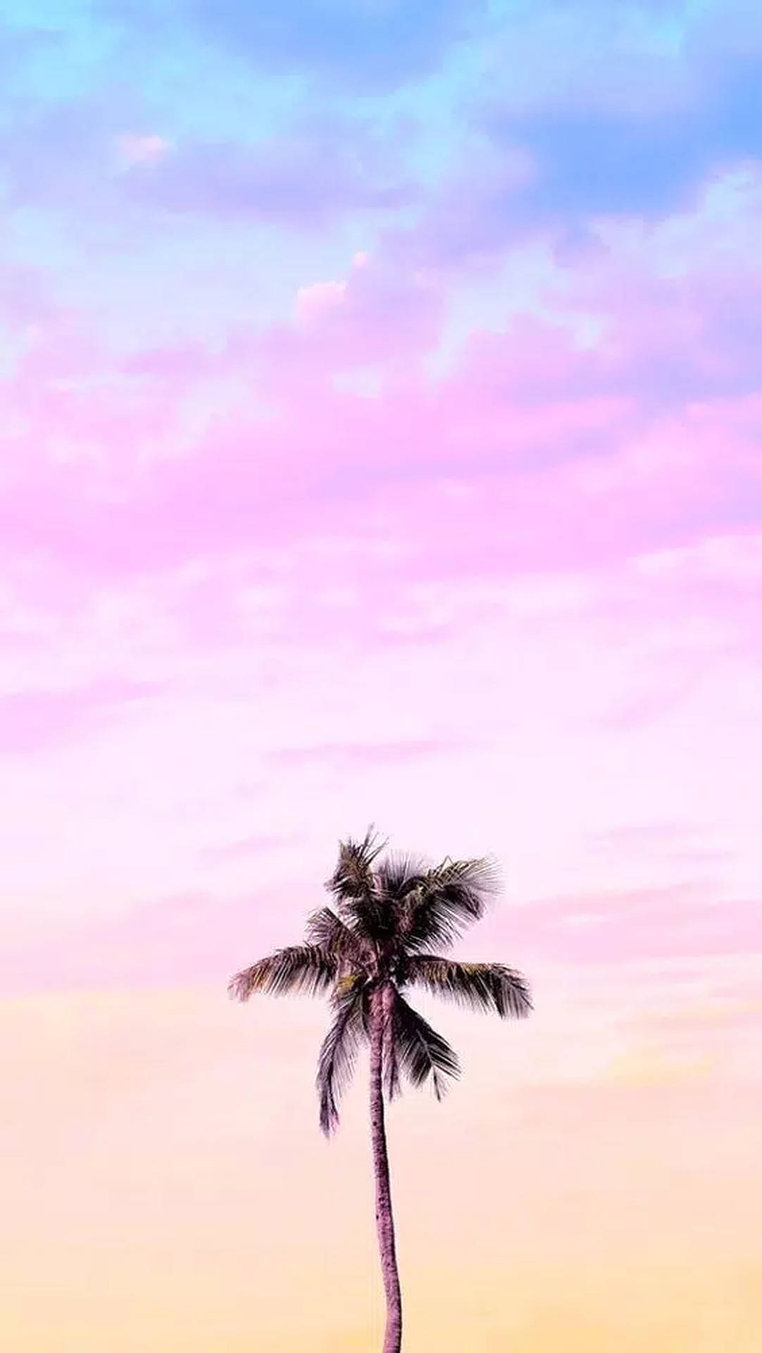 Palm Tree Colorful Pastel Background Background