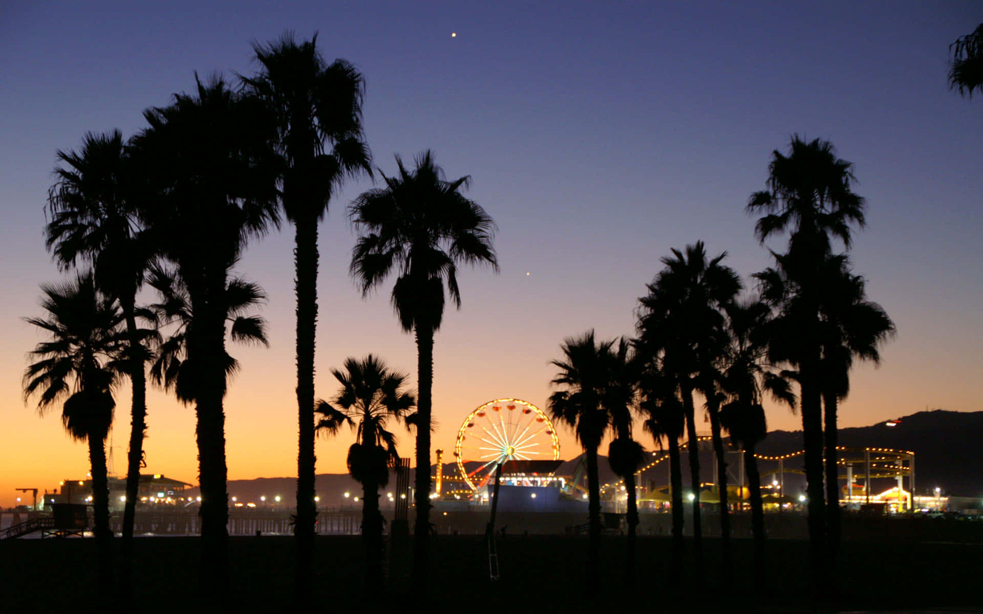Palm Tree Paradise Background