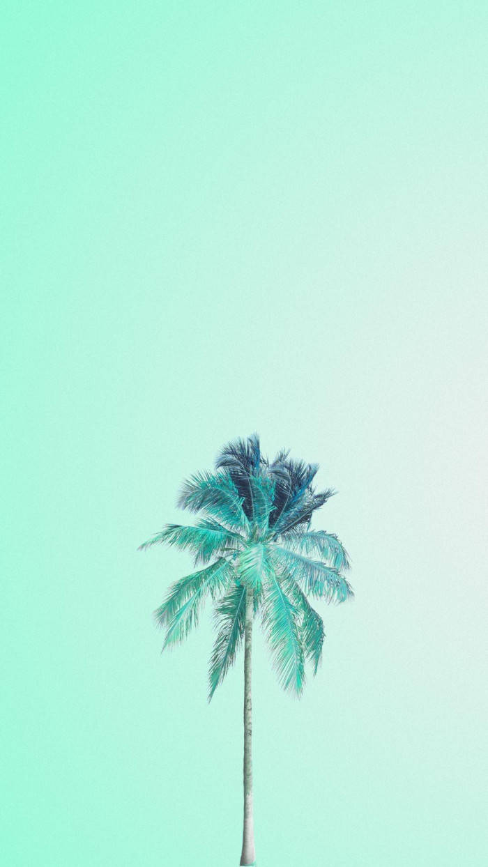 Palm Tree Pastel Green Aesthetic Background