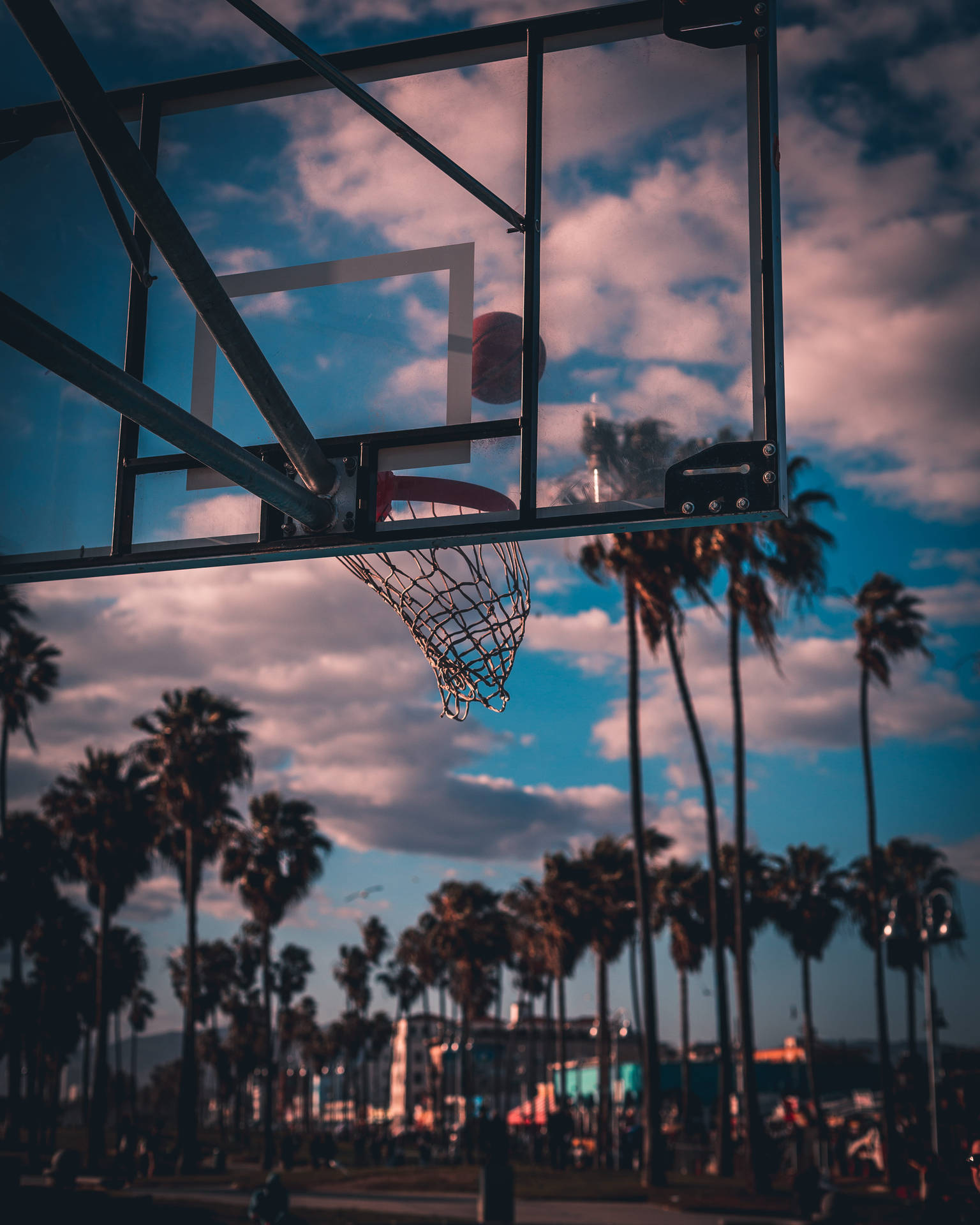 Palm Tree Sunset Basketball Hoop