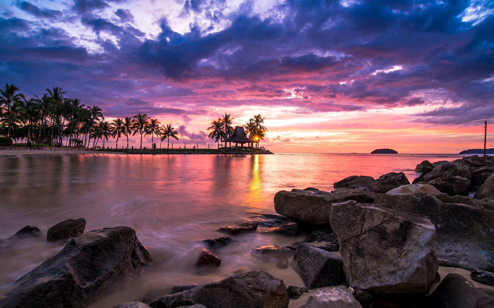 Palm Tree Sunset Beach Rocks Background