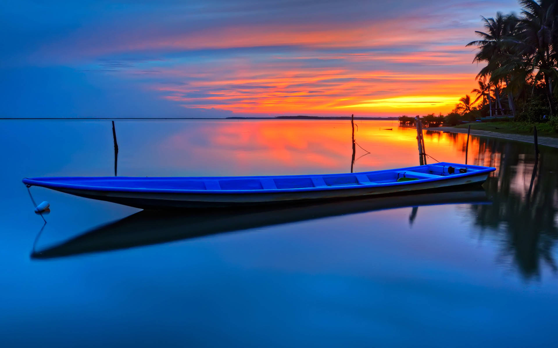 Palm Tree Sunset Boat