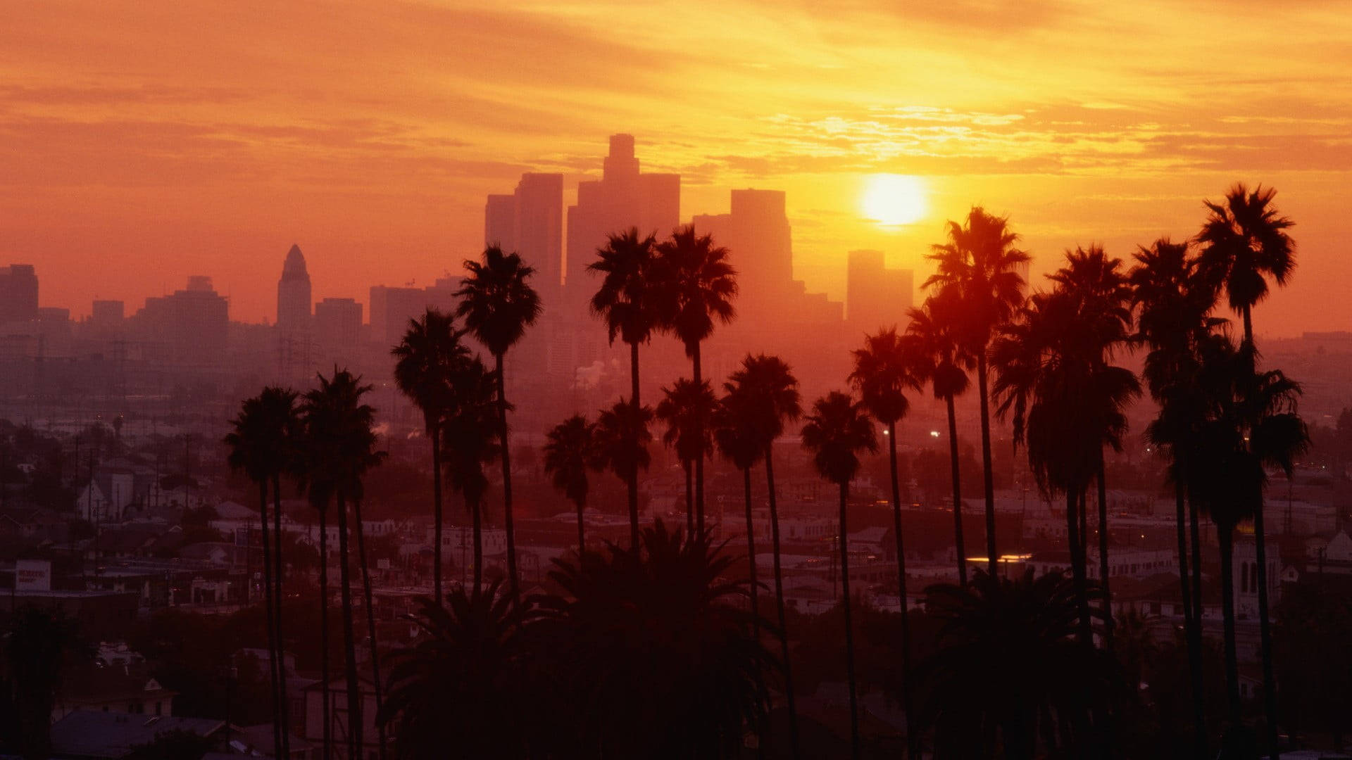 Palm Tree Sunset Boulevard Los Angeles Background