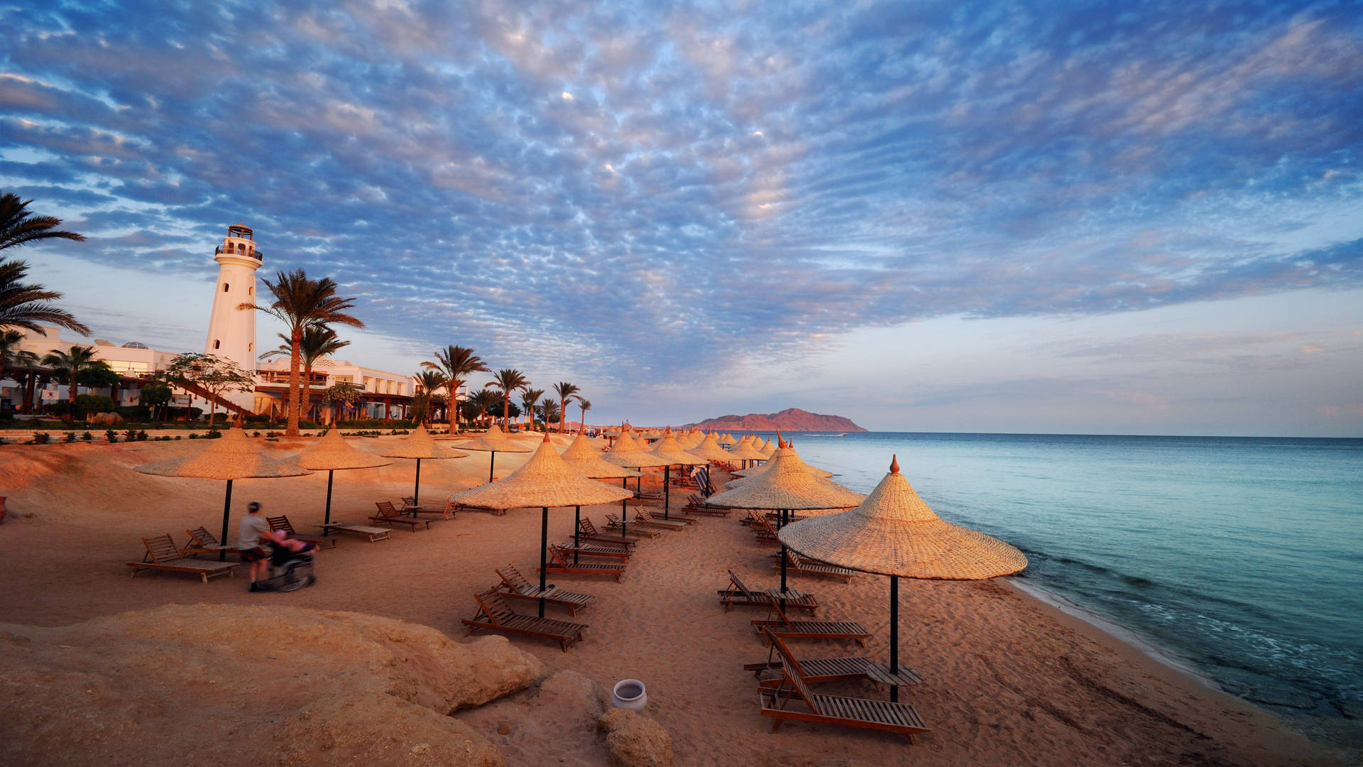 Palm Tree Sunset Egypt