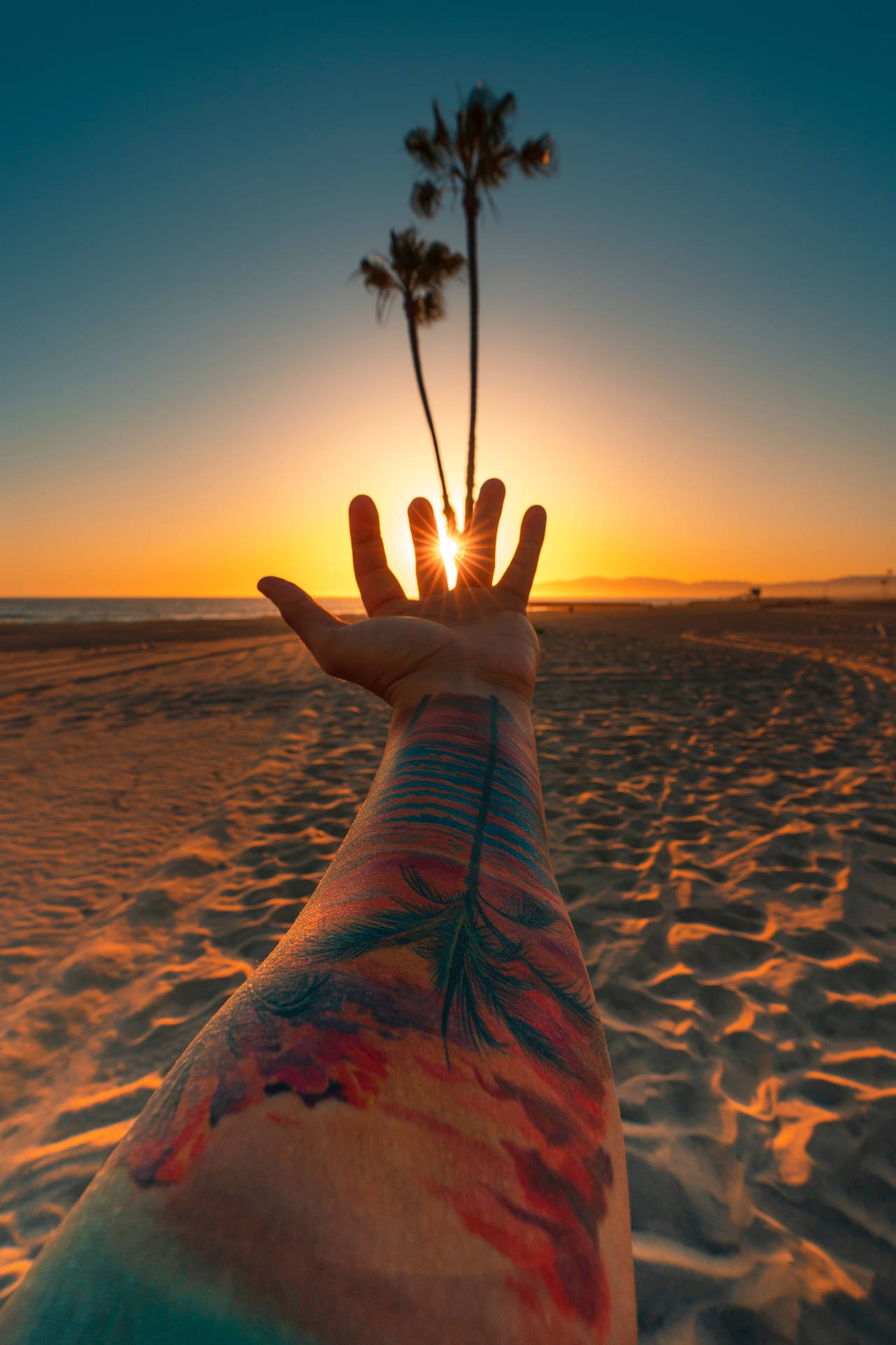 Palm Tree Sunset Hand Background