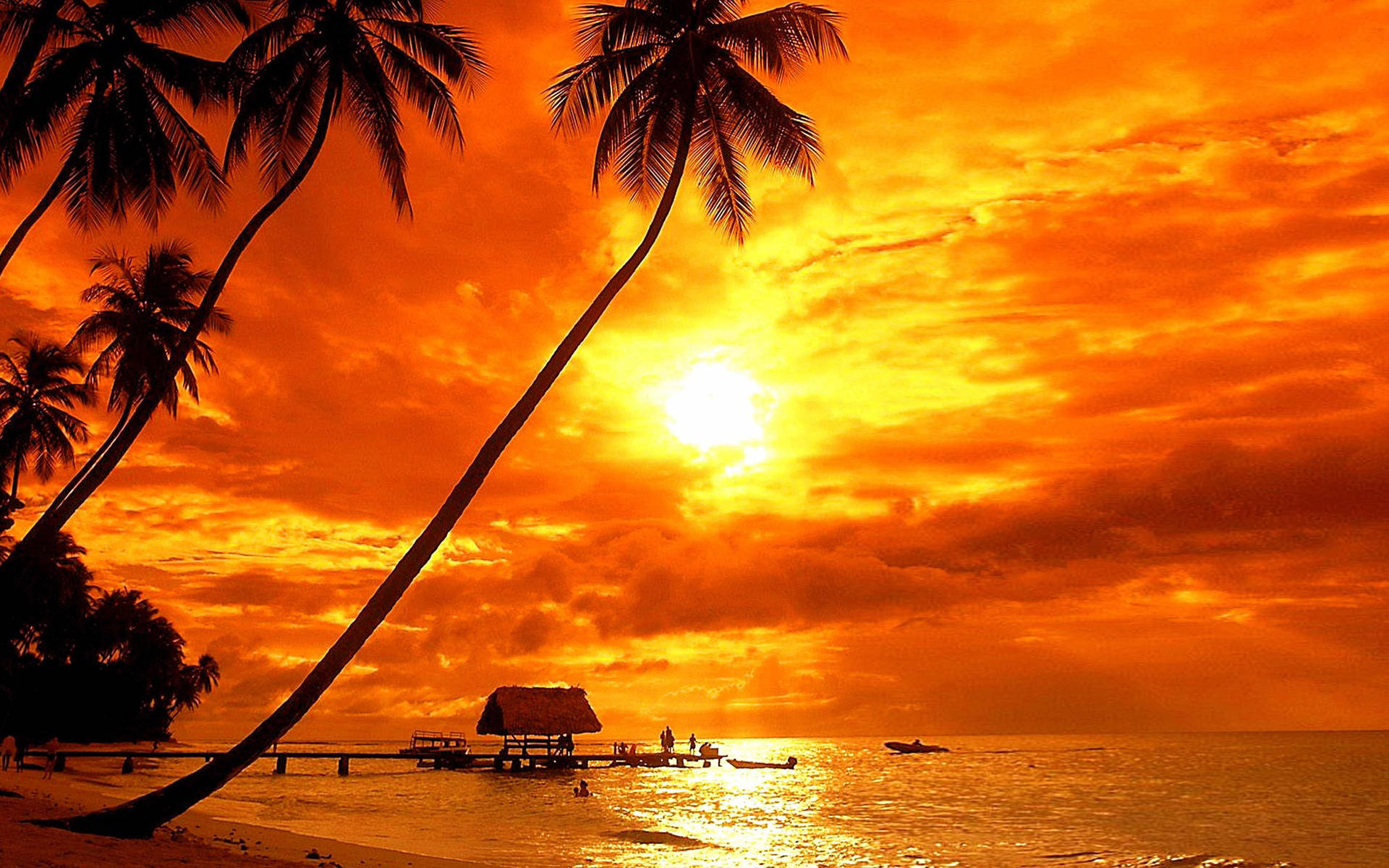 Palm Tree Sunset Island