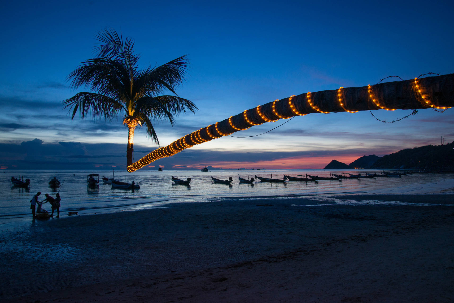 Palm Tree Sunset Lights Background